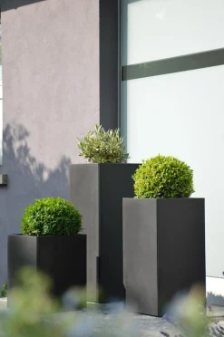 Jan Kurtz Planter Vase - 60 cm x 33 cm x 33 cm