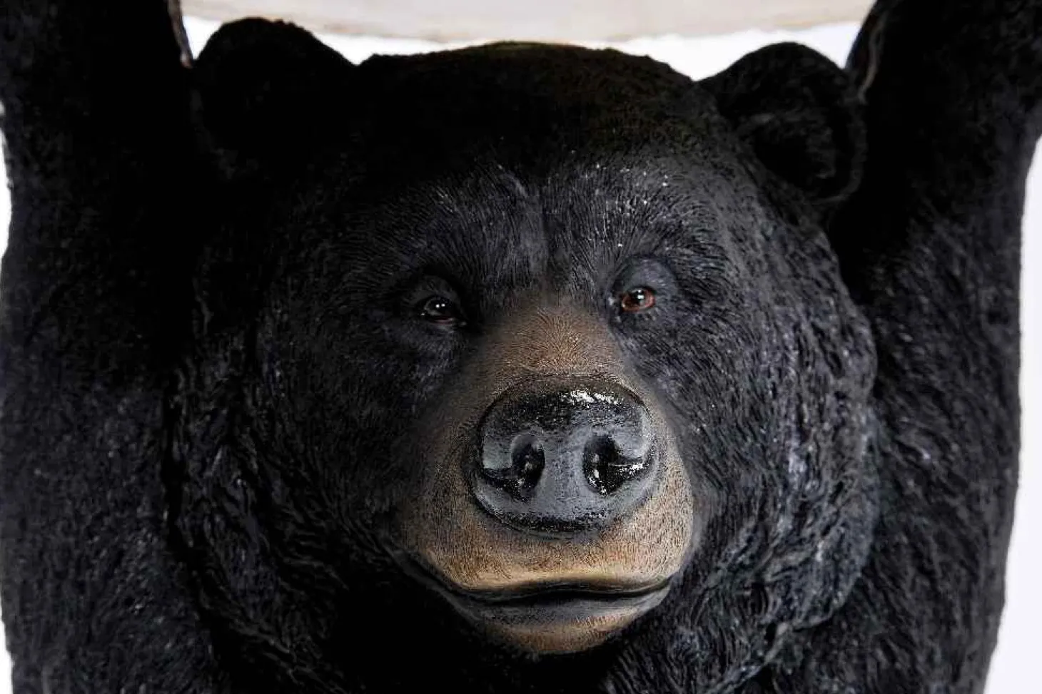 Kare Beistelltisch Bär Ø 33 cm