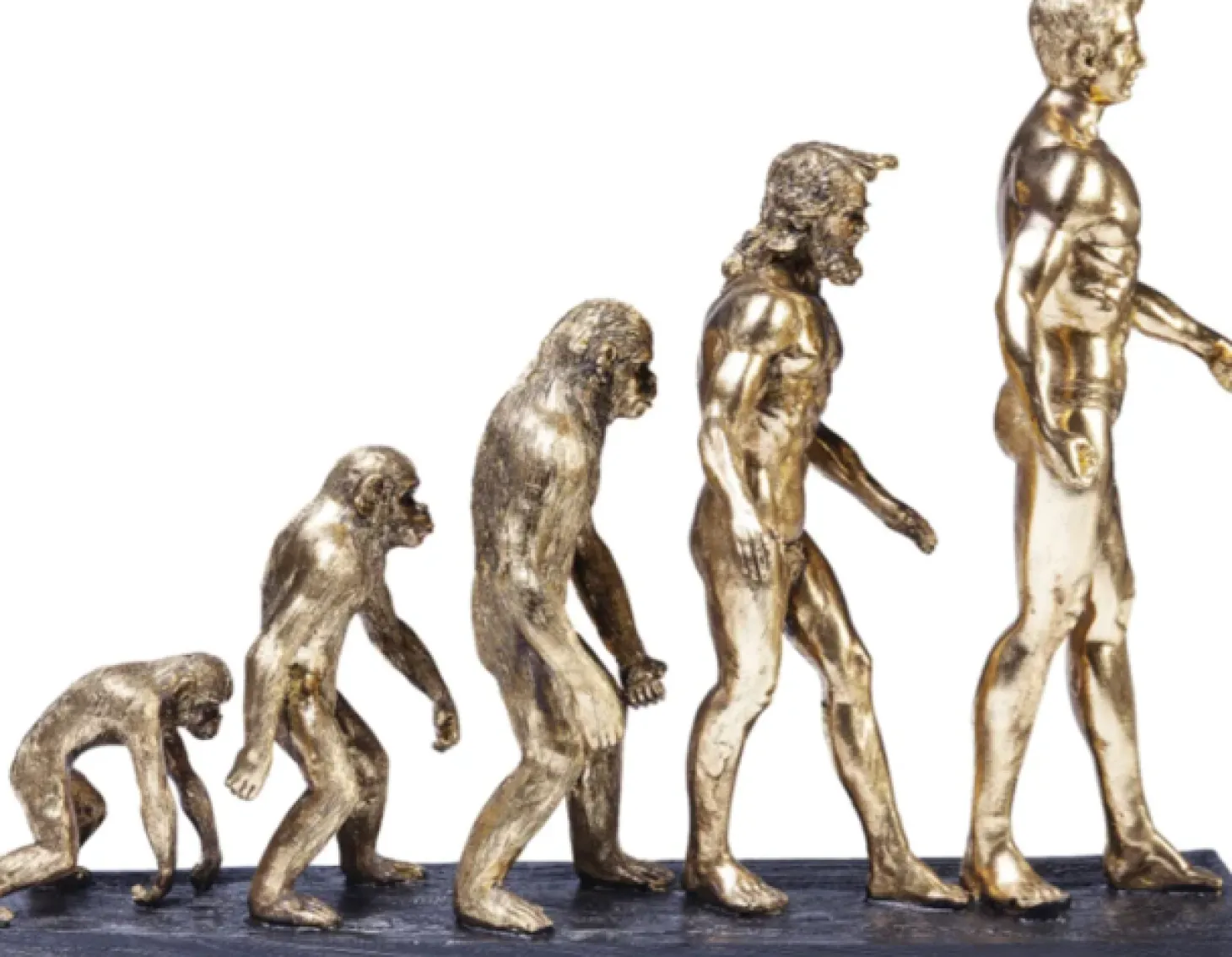 Kare Deko Figur Evolution