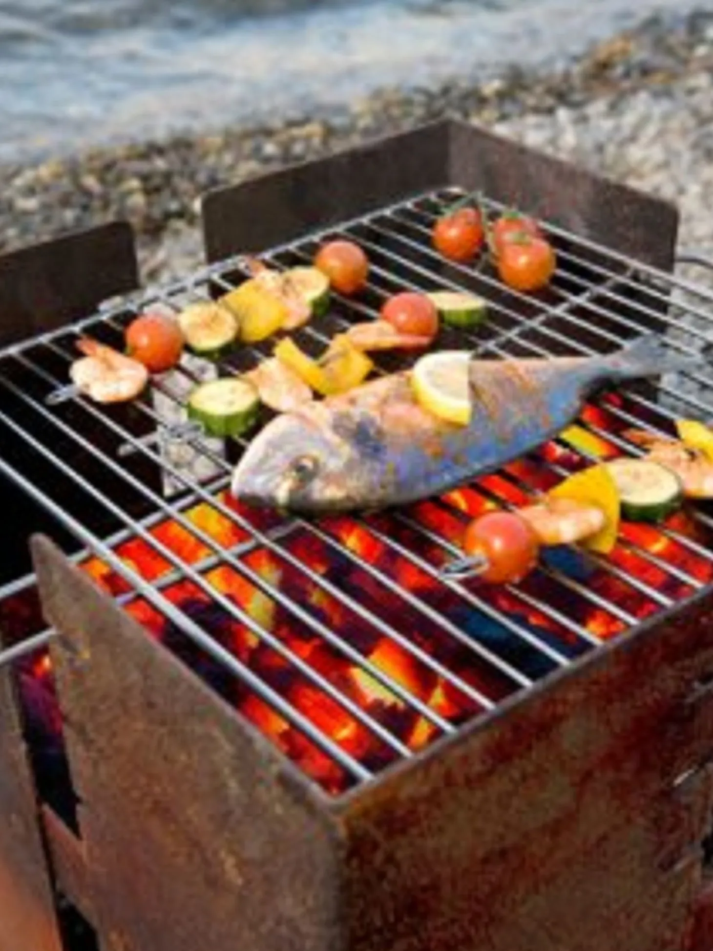 Keilbach Grillrost für Fuji