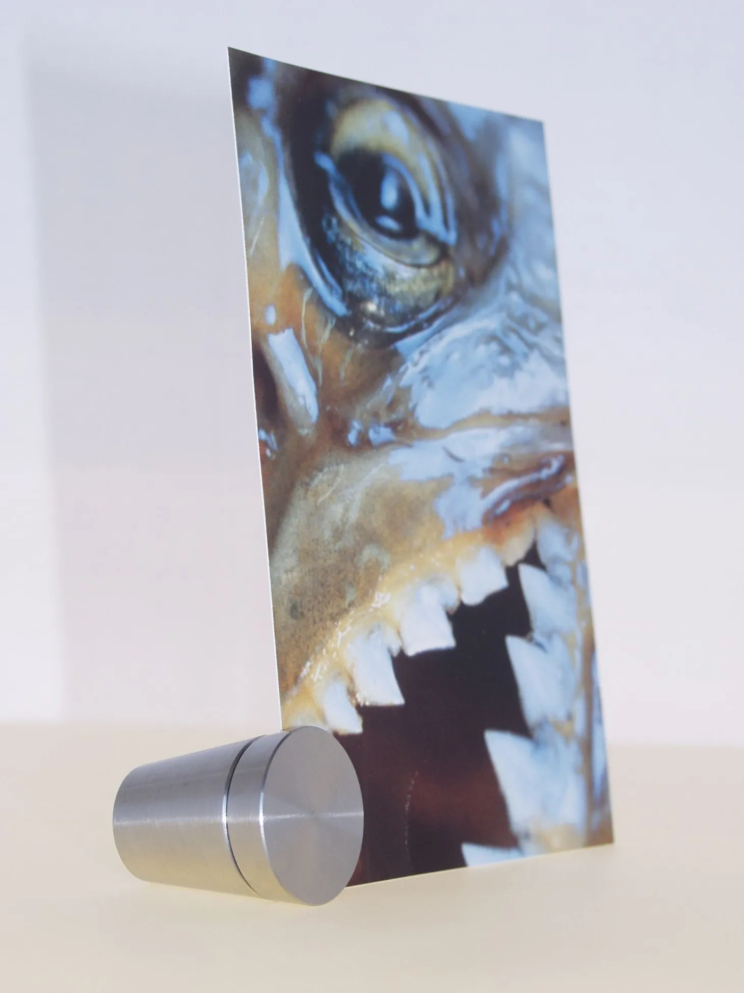 Keilbach Pura Bildhalter