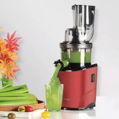 Kuvings Entsafter REVO830 Schwarz