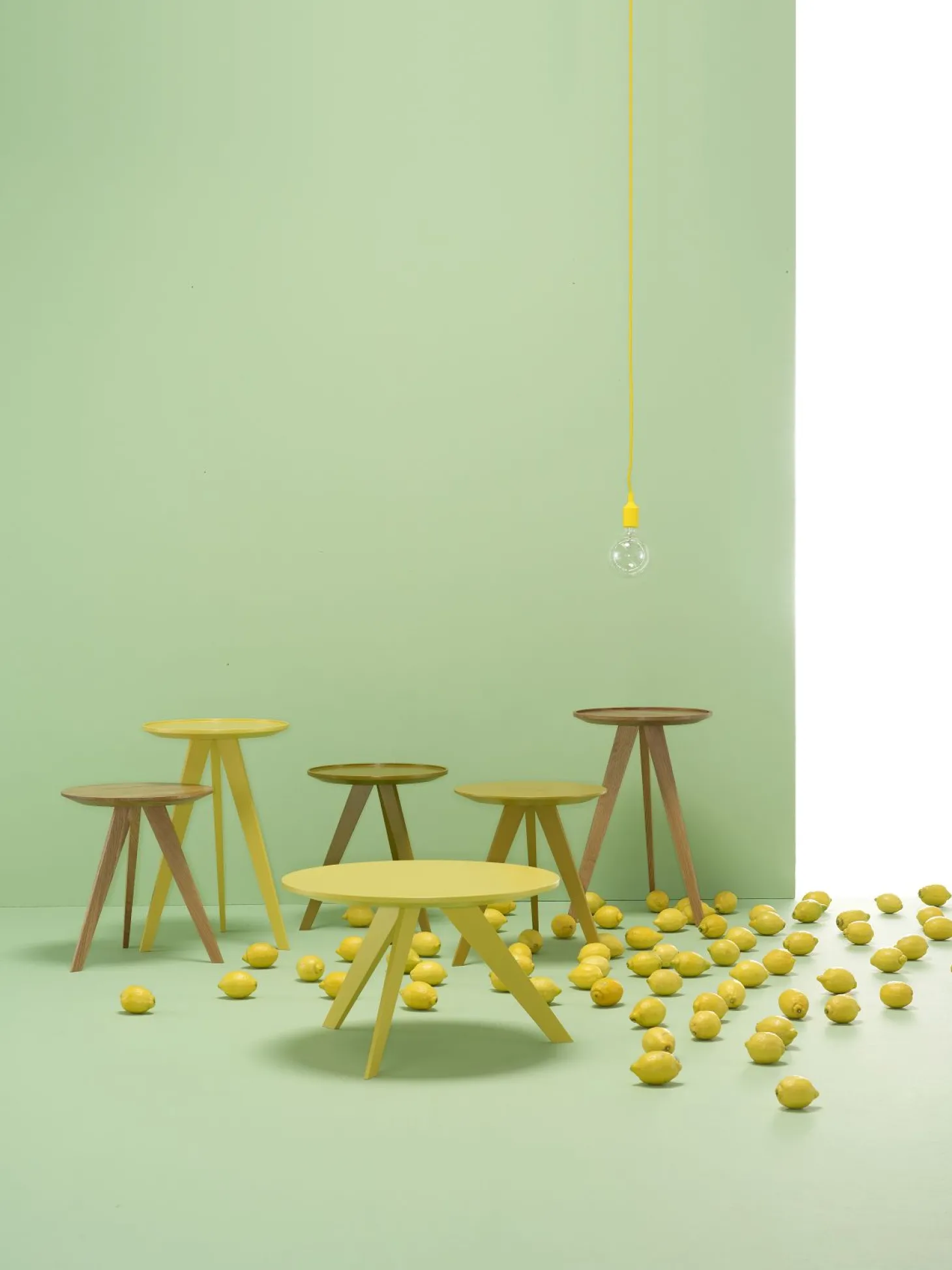 Möller Design Beistelltisch Woody Hill Durchmesser 55 cm 37cm elefant