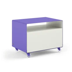 Müller Möbelfabrikation R 107 Rollwagen mit Klapptür Resedagrün (RAL 6011)