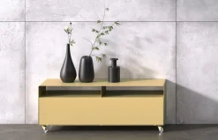 Müller Möbelfabrikation R 109 Sideboard rollbar Transparentrollen Resedagrün (RAL 6011)