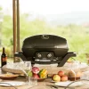Napoleon Mobiler Gasgrill TRAVELQ™ PRO285