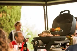 Napoleon Mobiler Gasgrill TRAVELQ™ PRO285
