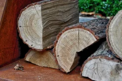 Quan Garden Art Medium Grillring Premium Corten