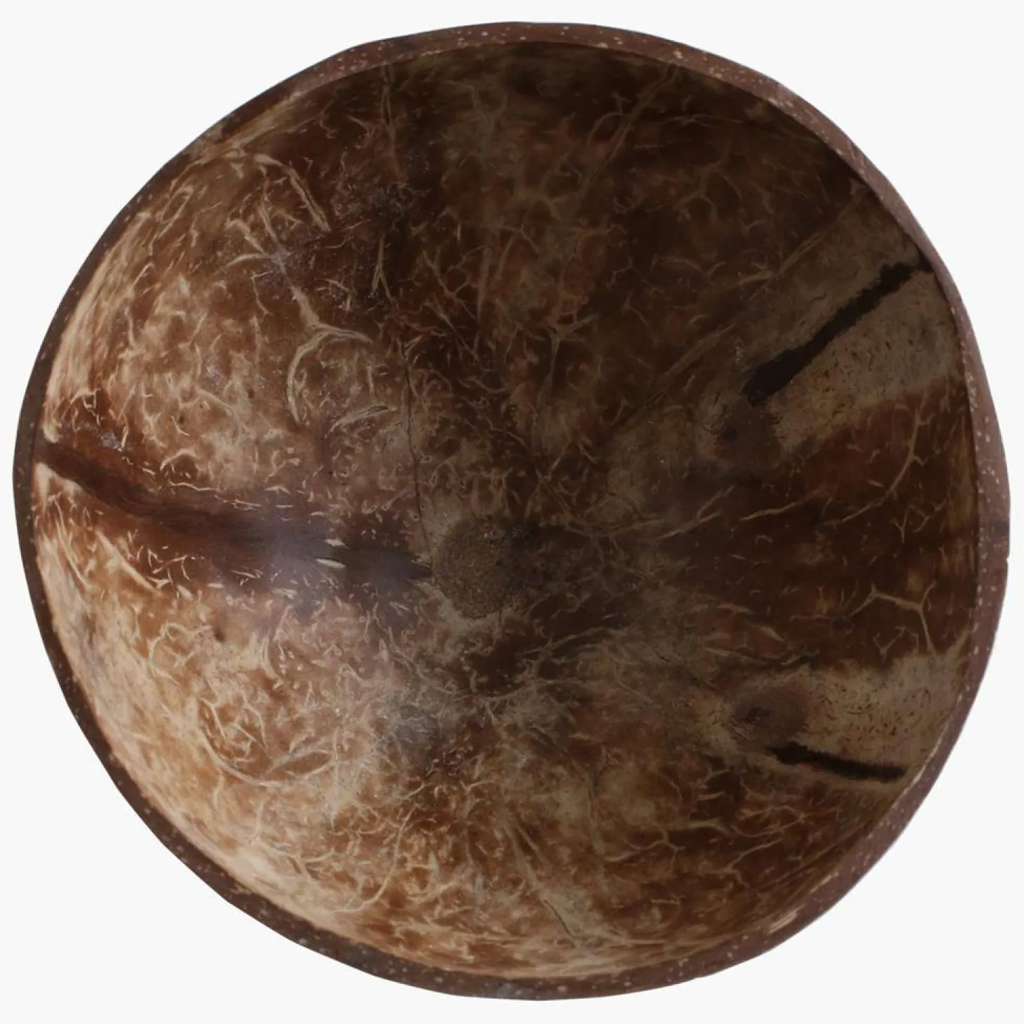 Raw Materials Kokosnuss Schale