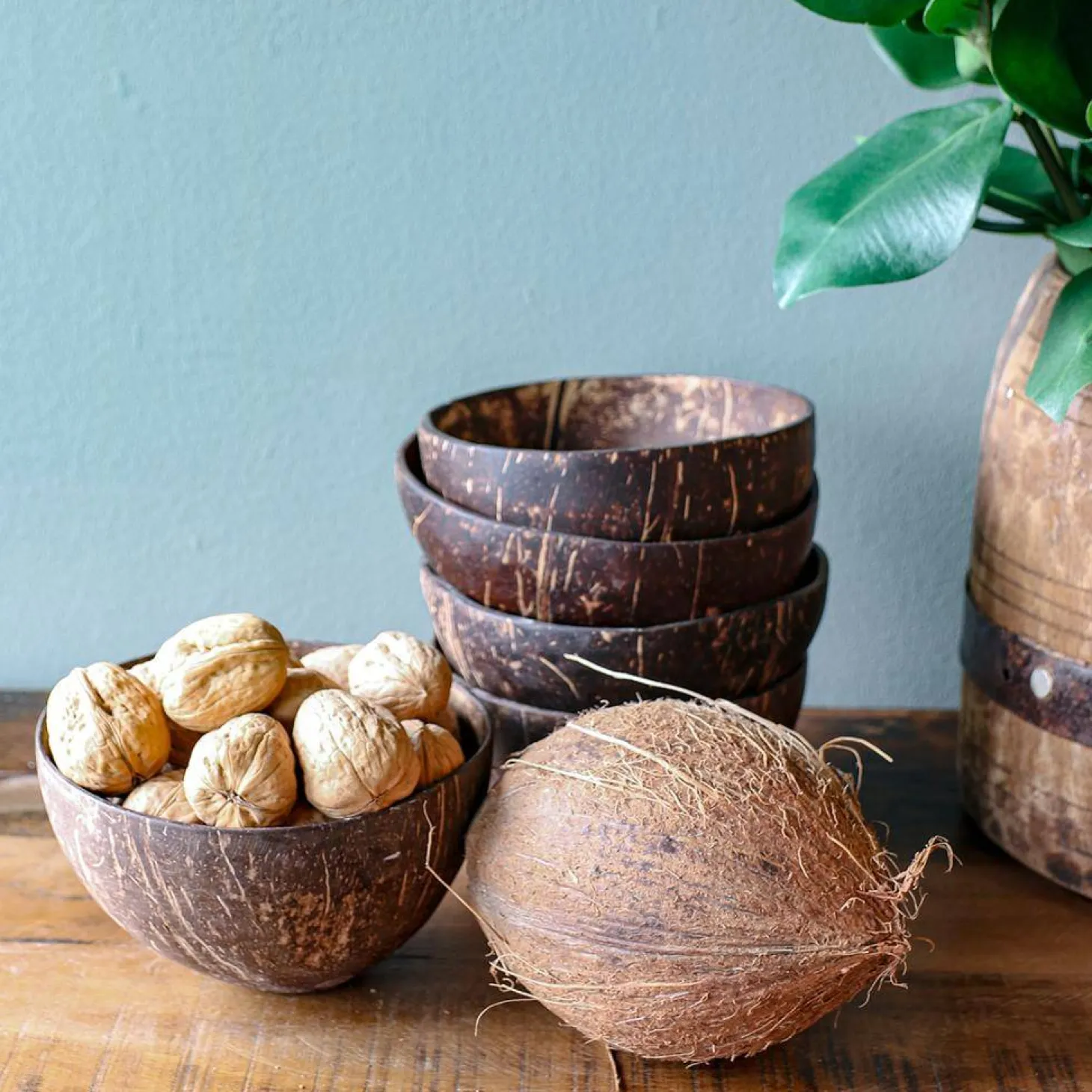 Raw Materials Kokosnuss Schale