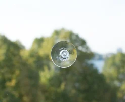 Relaxound Saugnapfaufhänger für Zwitscherboxen