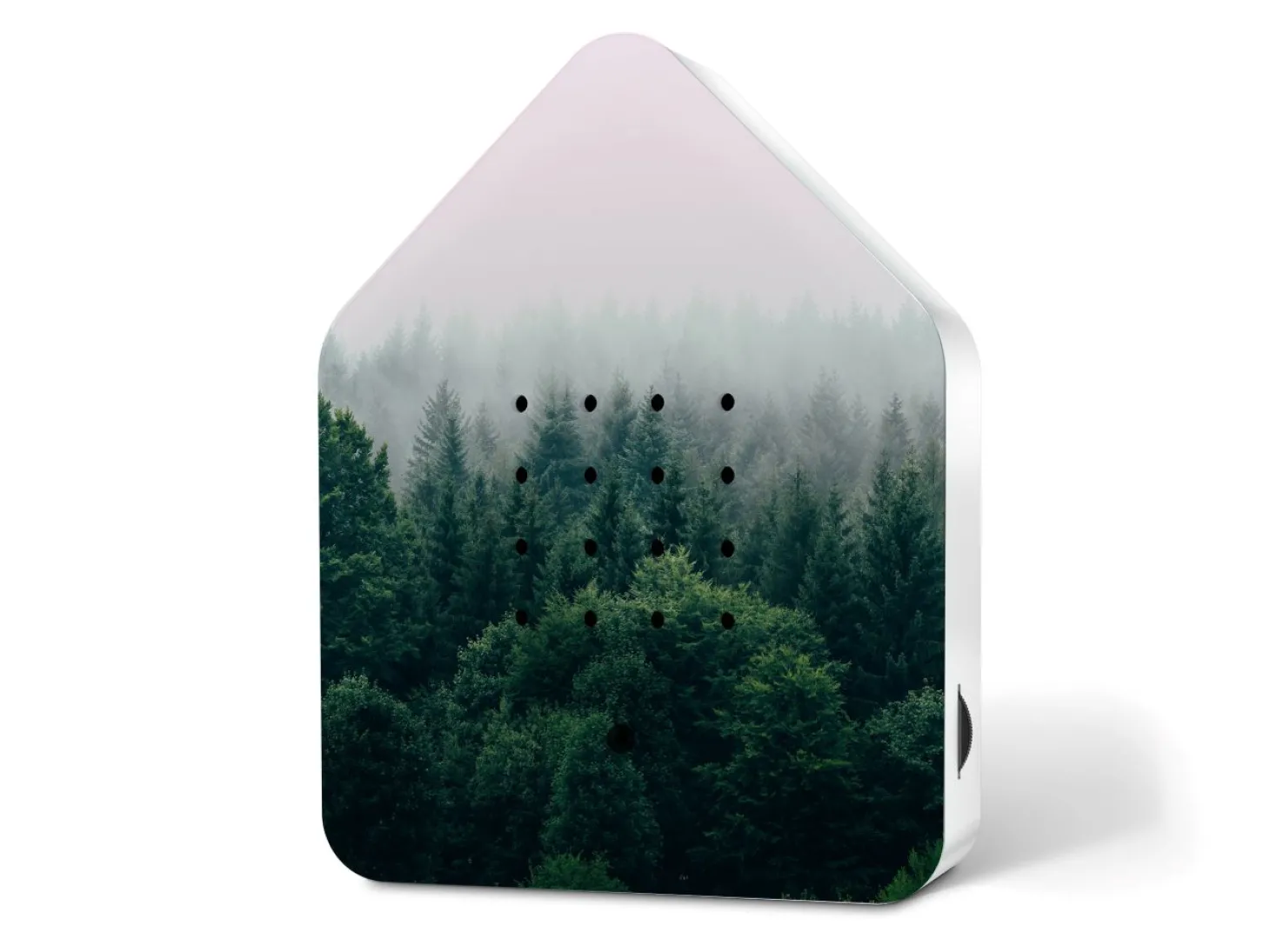 Relaxound Zwitscherbox Limited Edition Morning Forest