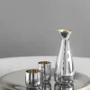 Stelton Norman Foster Karaffe mit Verschluss 1 L golden