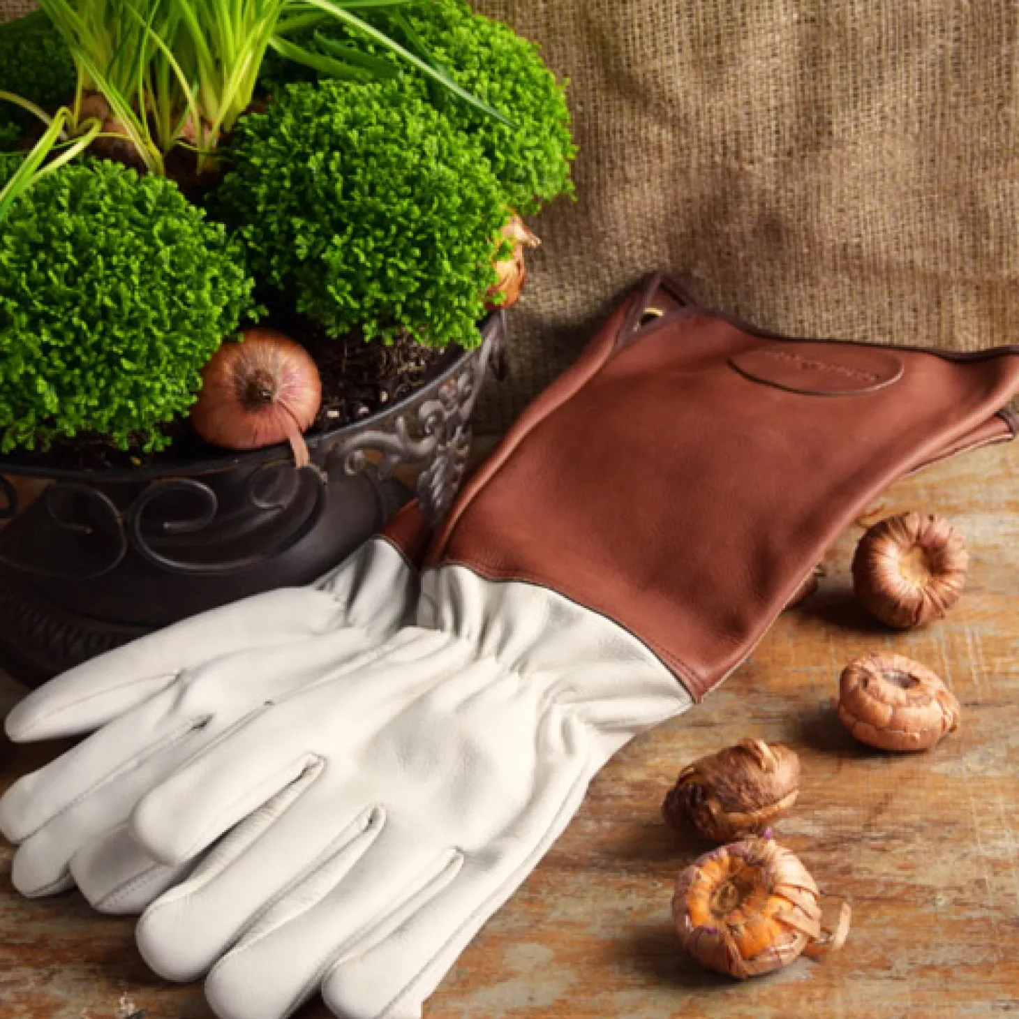 The Great British Garden Rosenhandschuhe Leder Damen S ca. 6-6.5