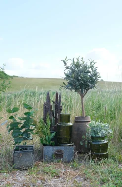 Trademark Living Große Holzvase, natur