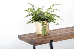 weld & co Sitzbank Nussbaum 01 S 90 × 40 × 45 weiß