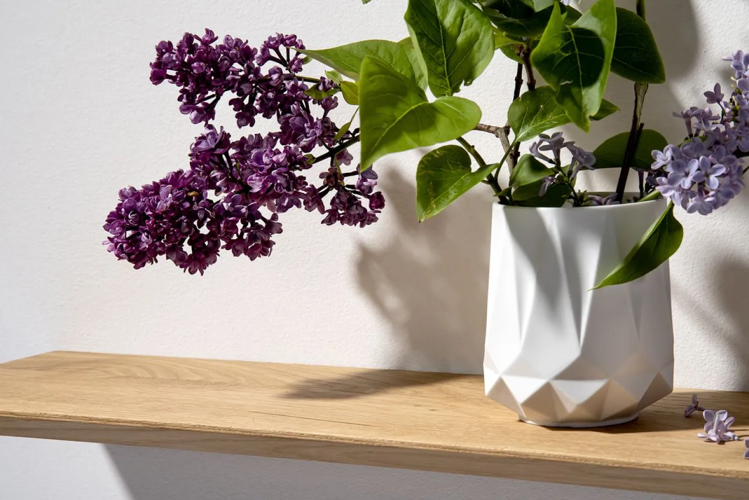 weld & co Wandregal Eiche 02 S 50 × 15 × 2 cm