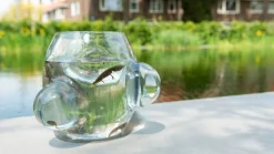 Weltevree Local Habitat - Vase / Glaskugel