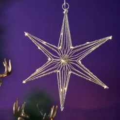 Werner Voß LED-Stern 30 cm, 25 LED warmweiß