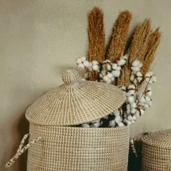 Werner Voß Pampasgras-Staude, natur ca. L 110-125 cm