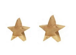 WMG Holz-Stern Pappel natur rauh 40 x 40 cm